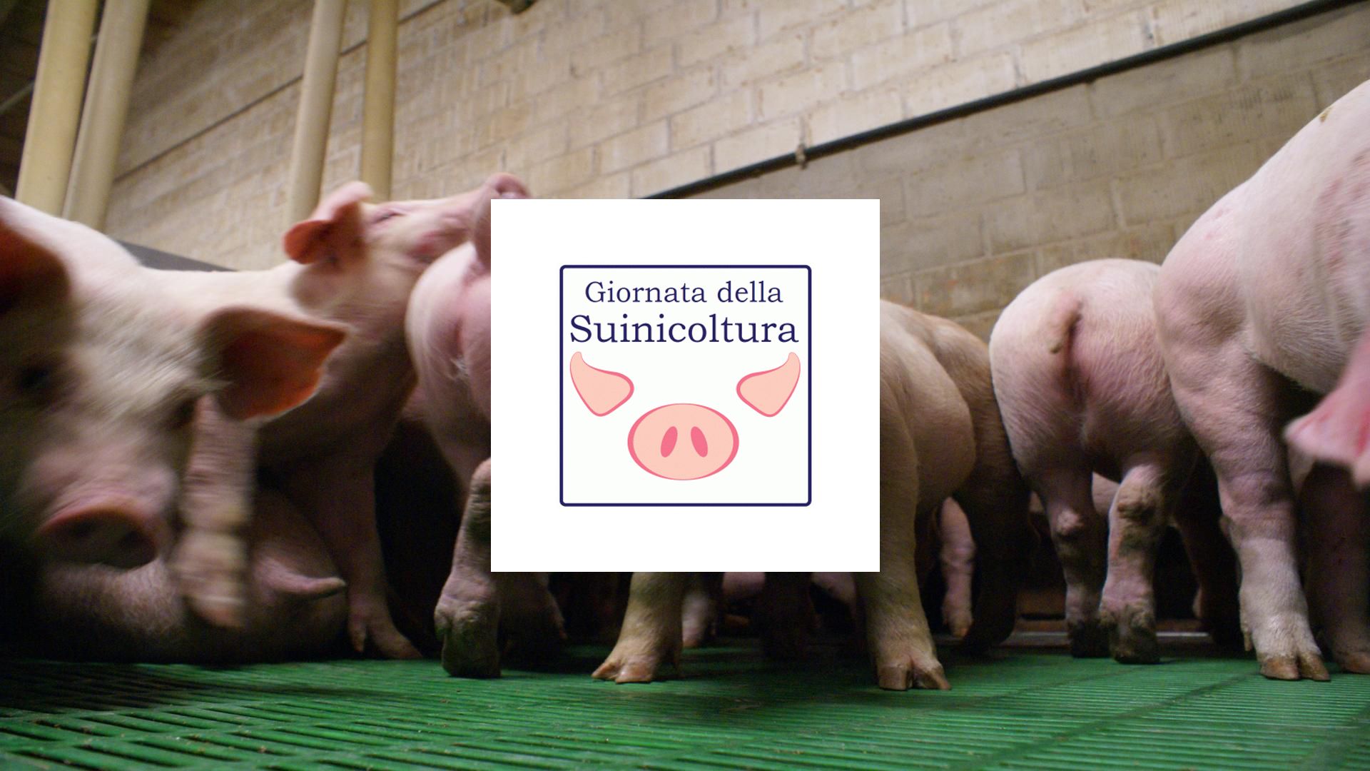 giornata suinicoltura 2019