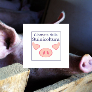 annalisa scollo antibioticoresistenza suina