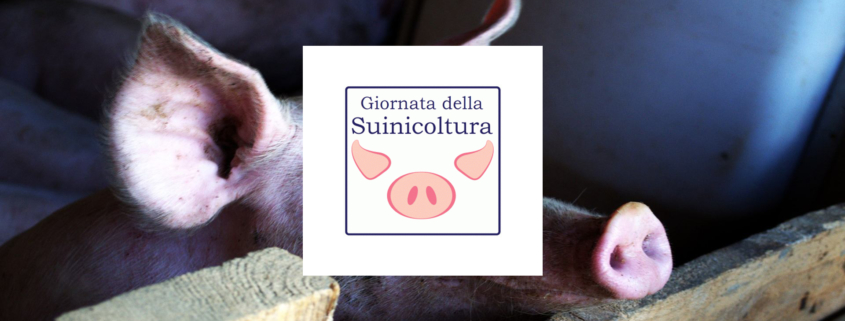 annalisa scollo antibioticoresistenza suina