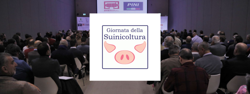 antibioticoresistenza suina