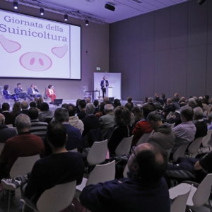 giornata della suinicoltura