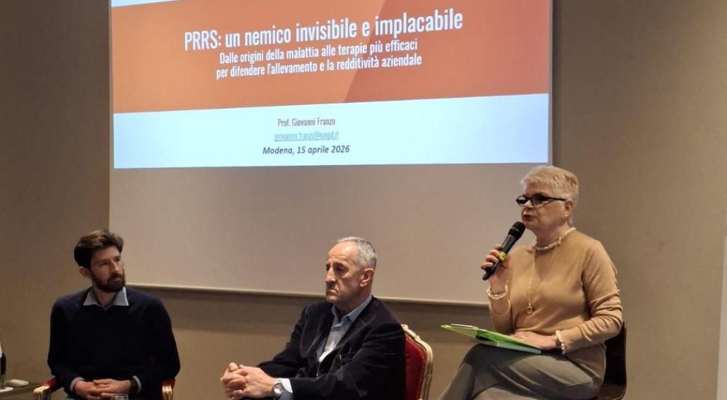 Formazione suinicola